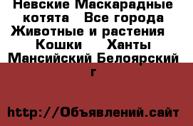 Невские Маскарадные котята - Все города Животные и растения » Кошки   . Ханты-Мансийский,Белоярский г.